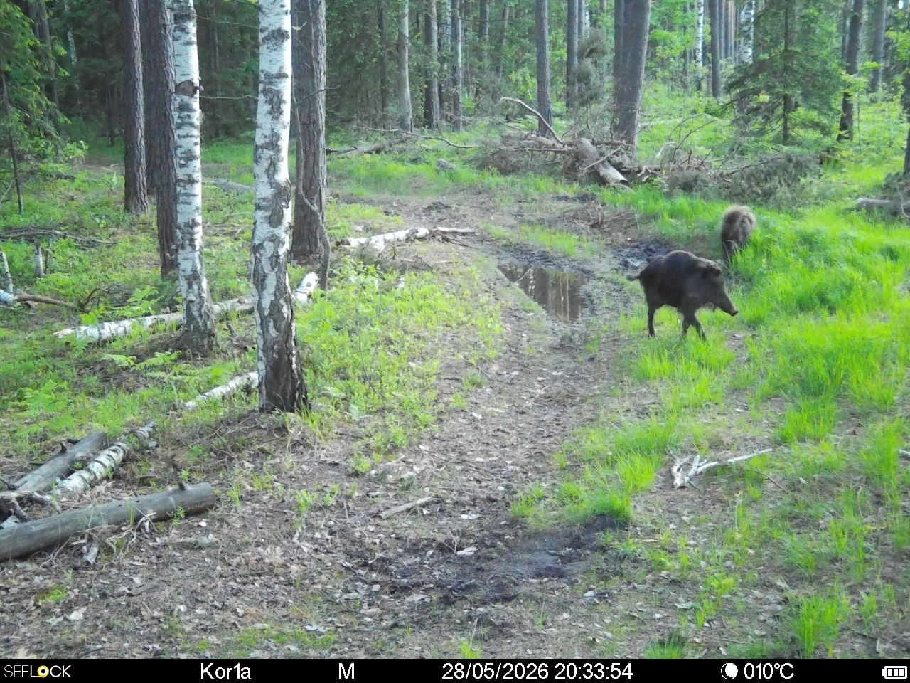 Preview Image 1