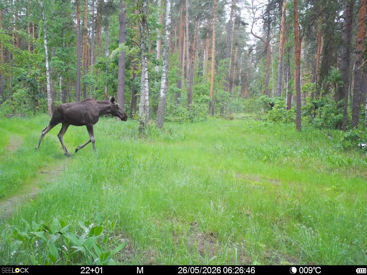 Preview Image 1