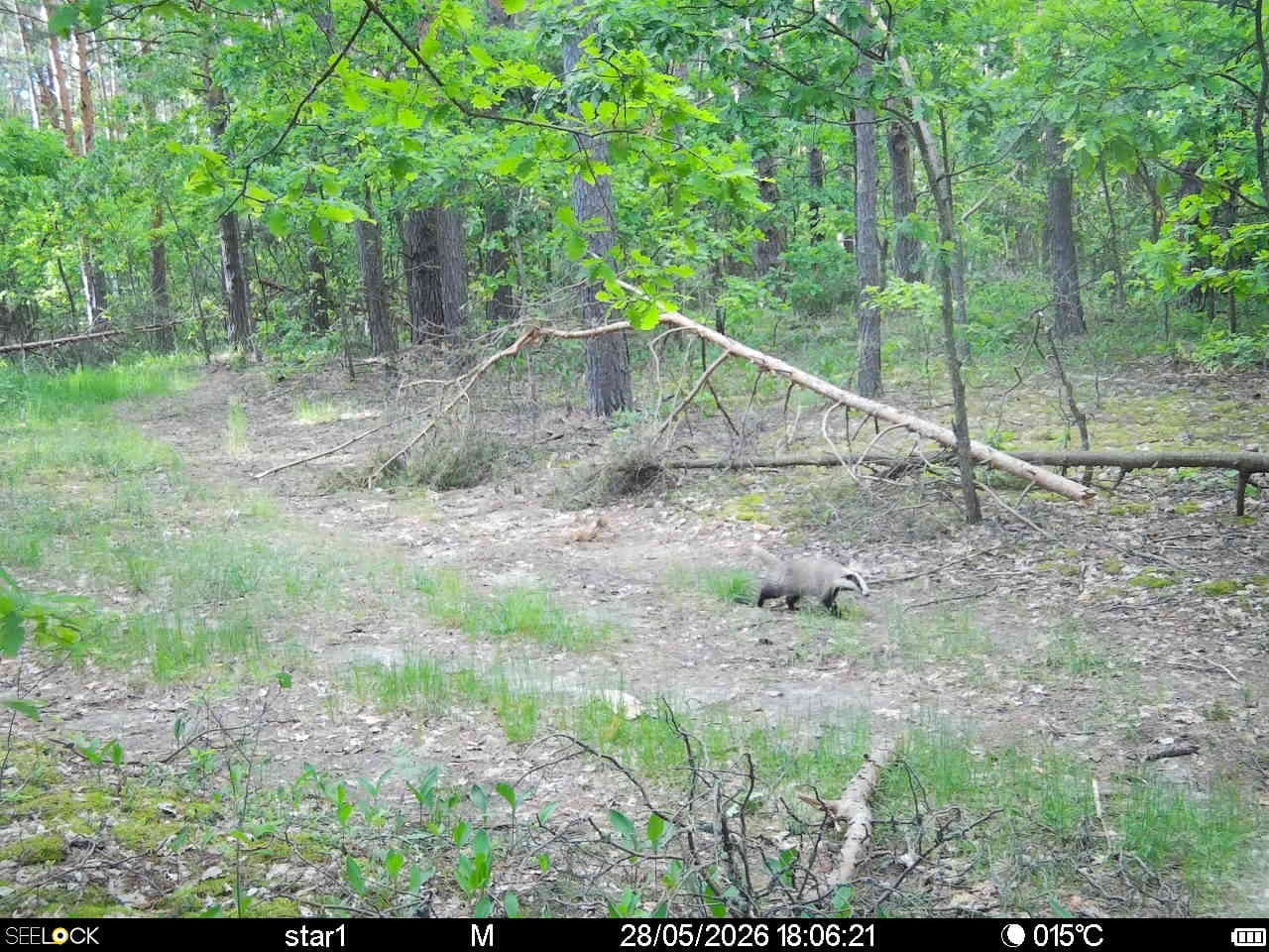 Preview Image 1