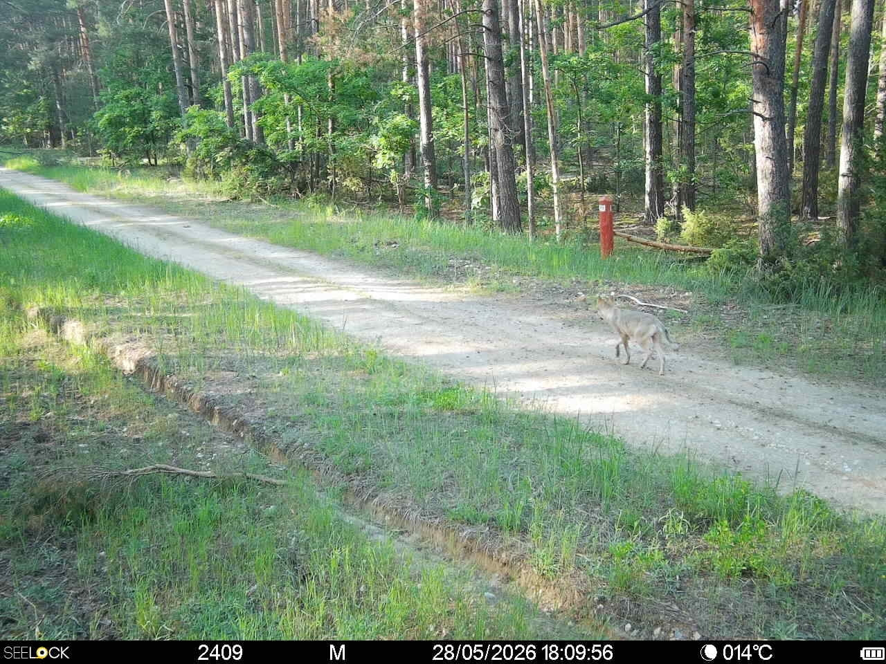 Preview Image 1