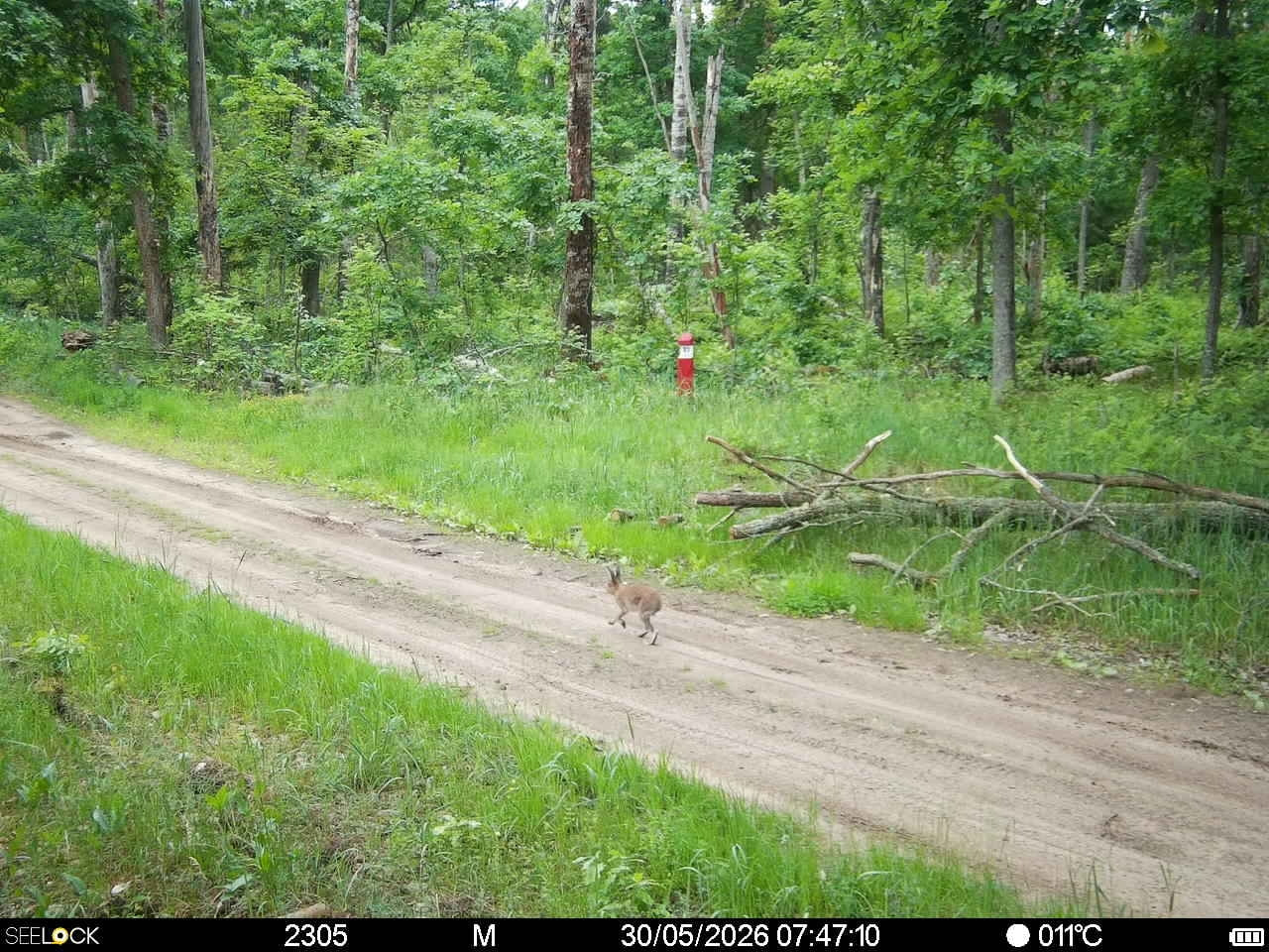Preview Image 1