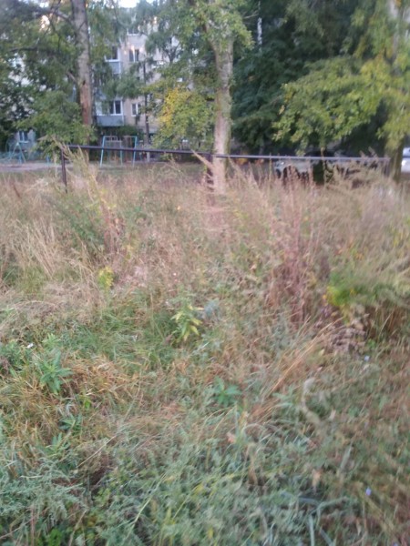 Preview Image 1