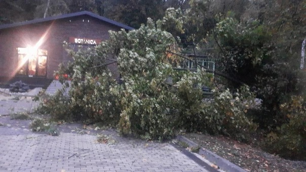 Preview Image 1