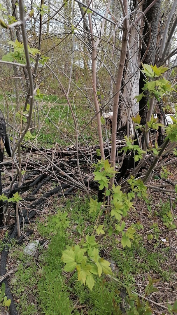 Preview Image 1