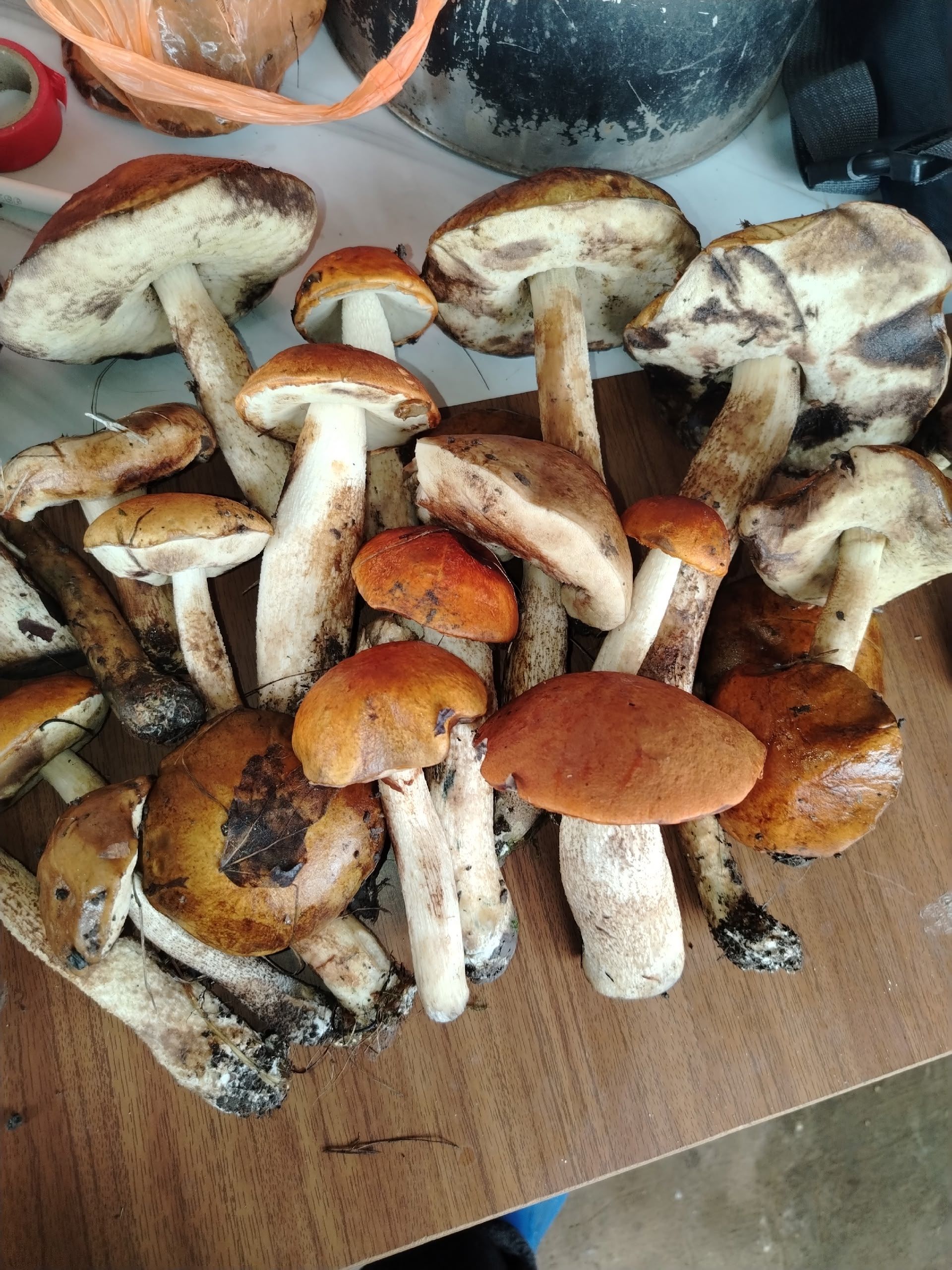 Preview Image 1