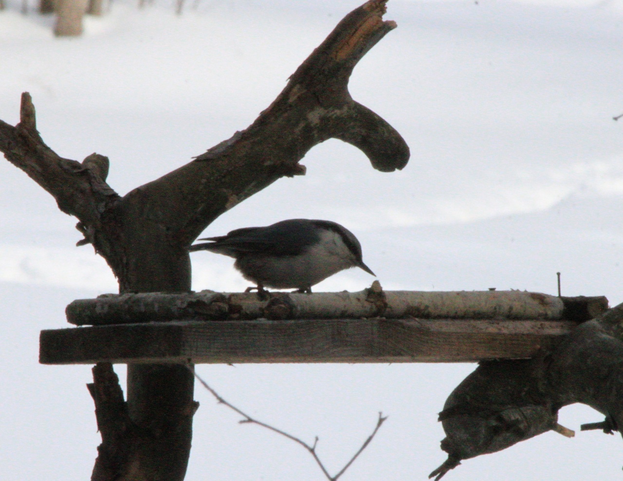 Preview Image 1