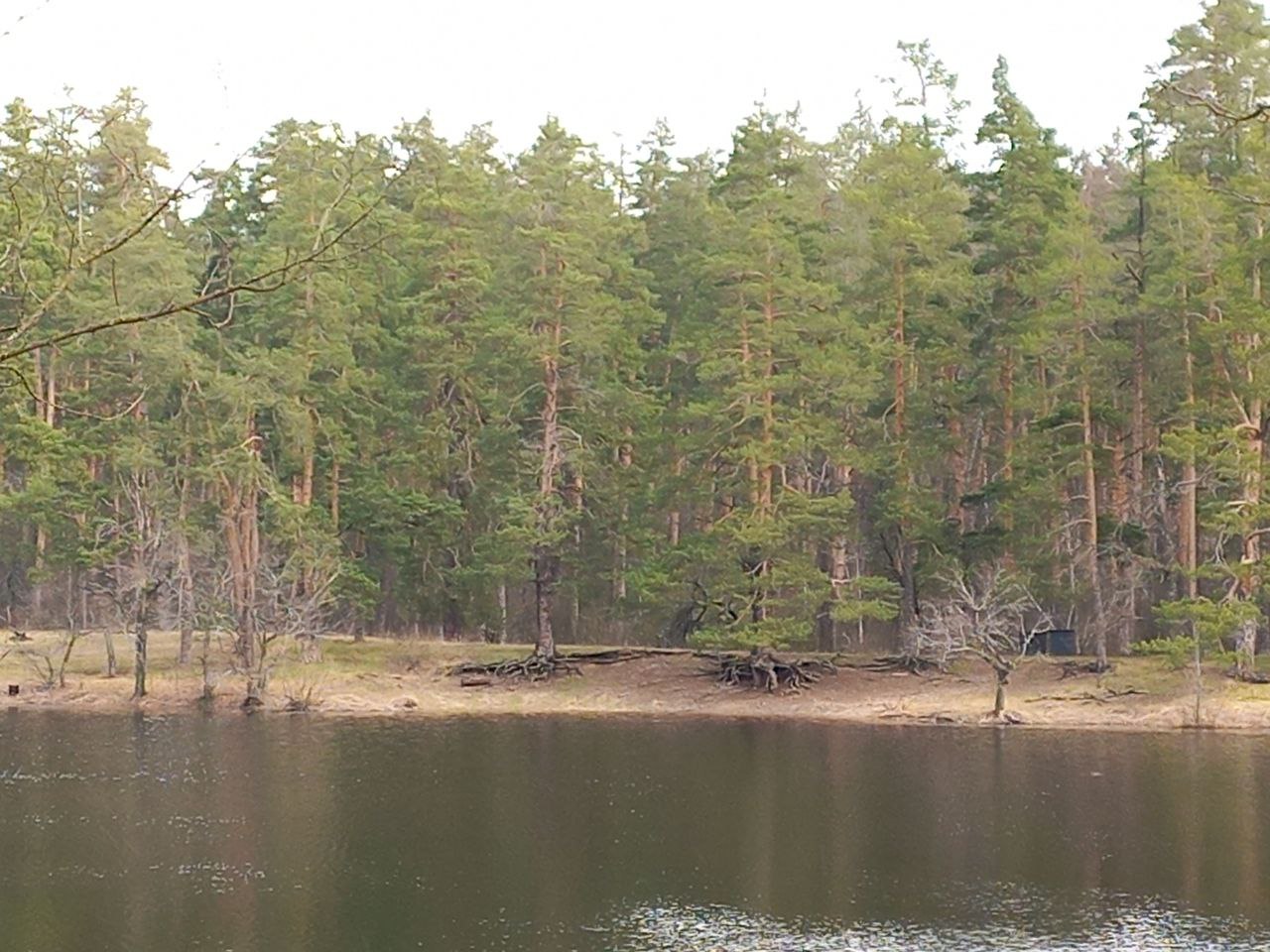 Preview Image 1