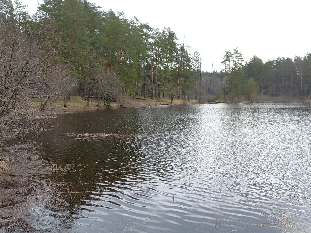 Preview Image 1