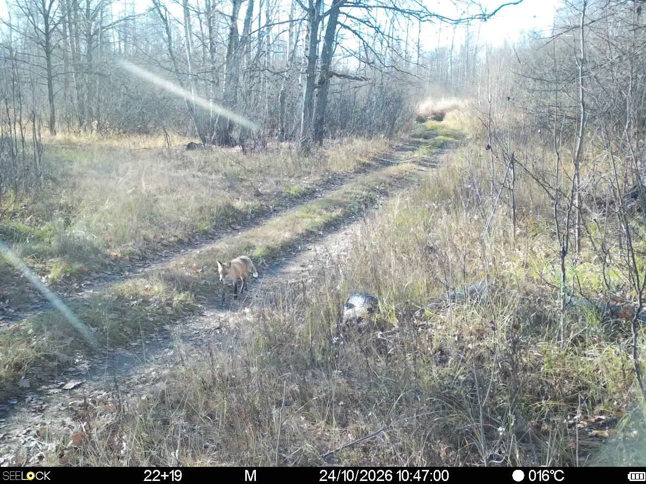 Preview Image 1
