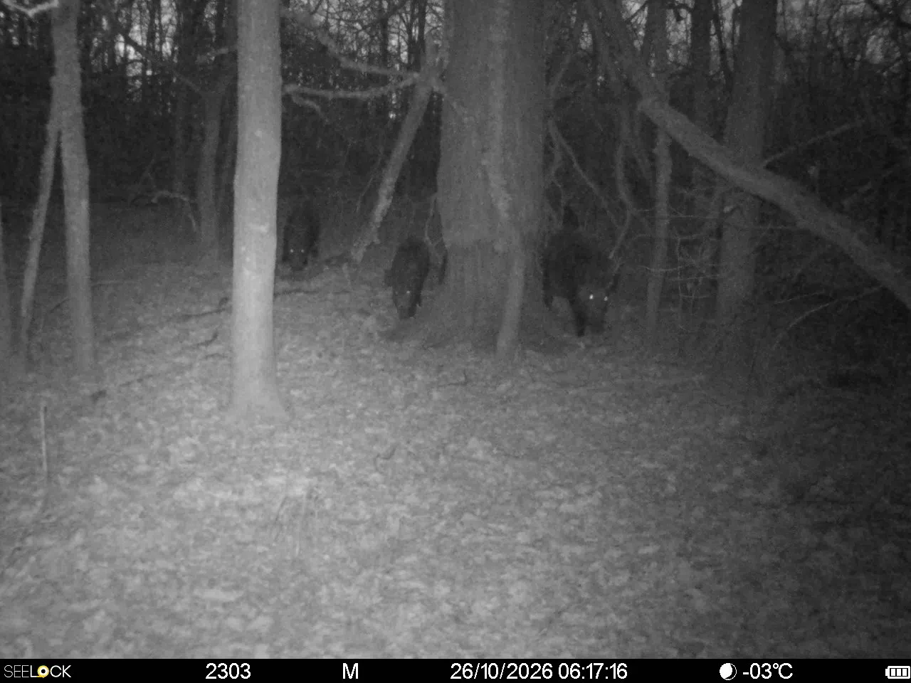 Preview Image 1