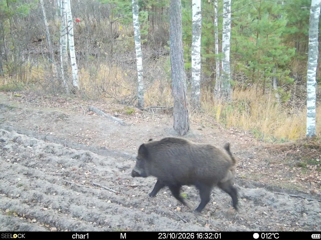 Preview Image 1