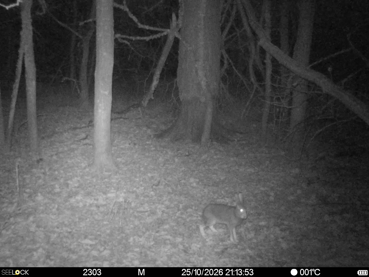 Preview Image 1
