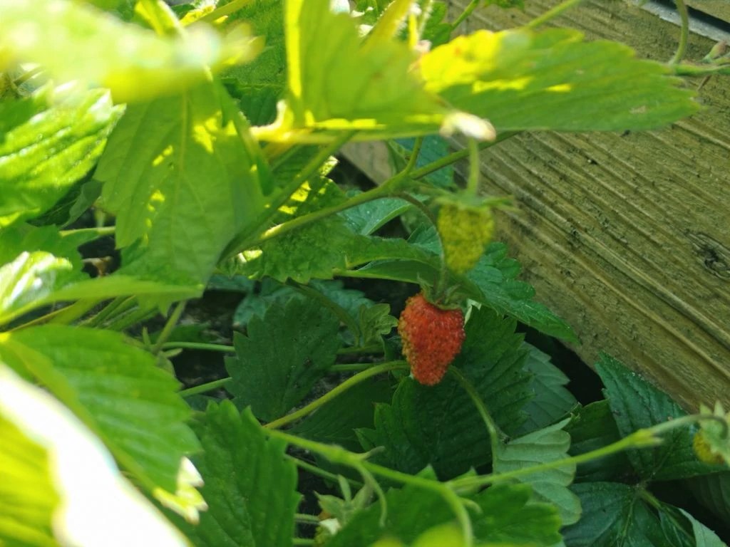 Preview Image 1