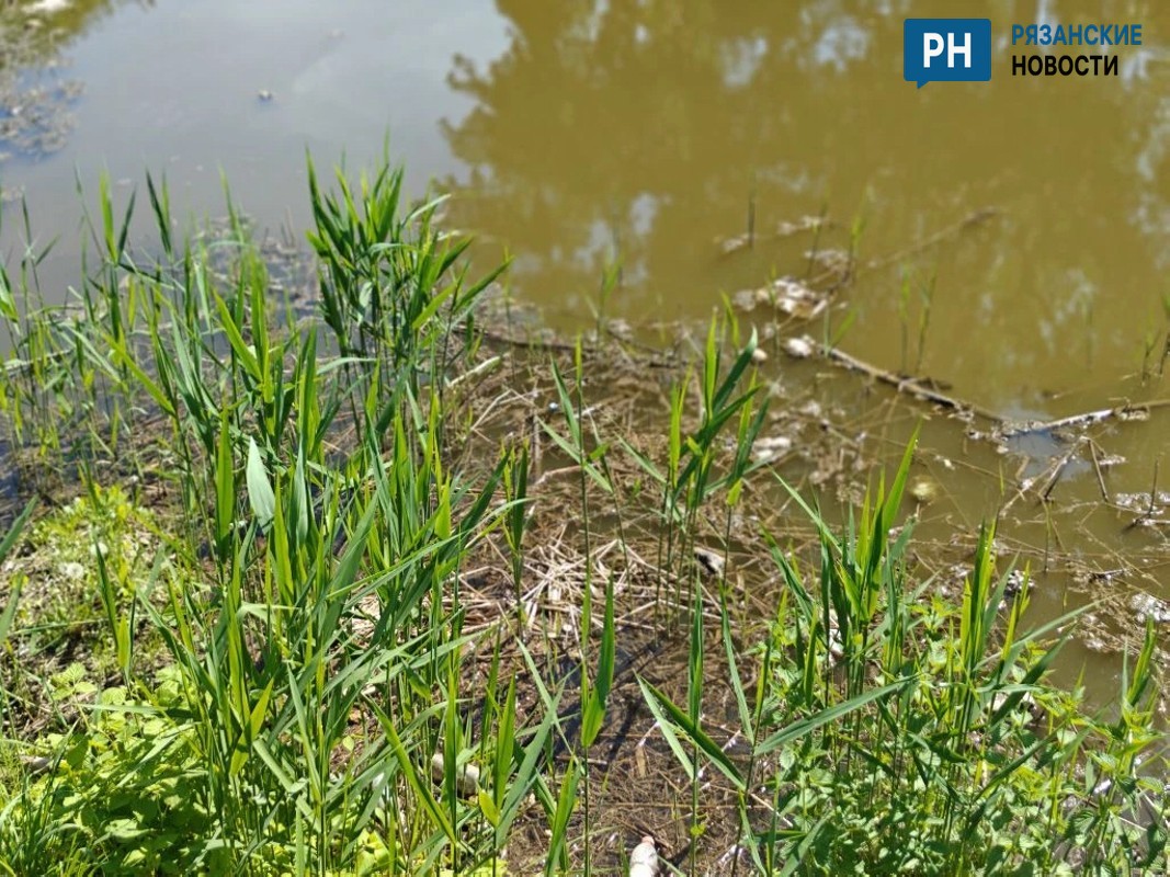 Preview Image 1