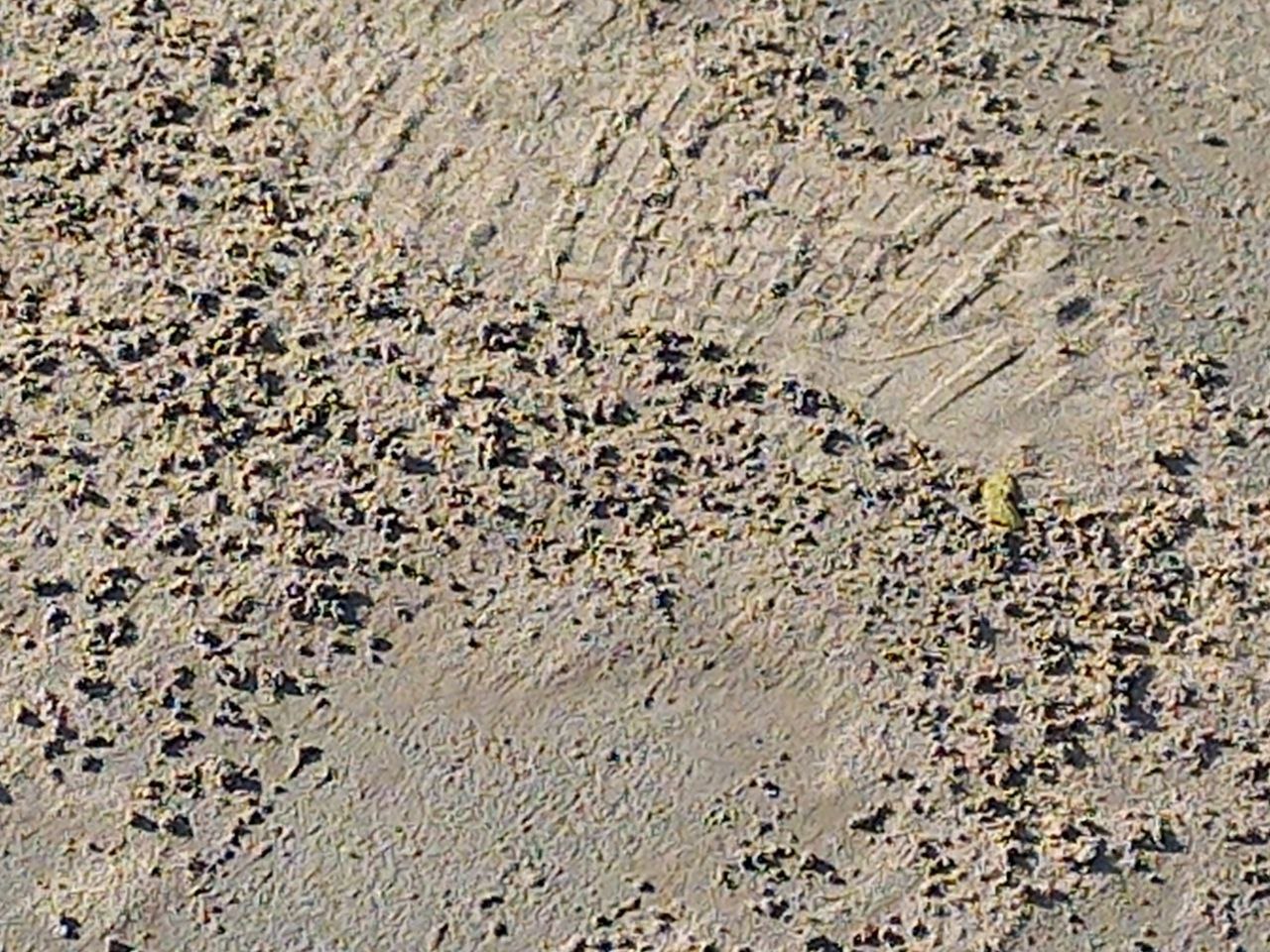 Preview Image 1