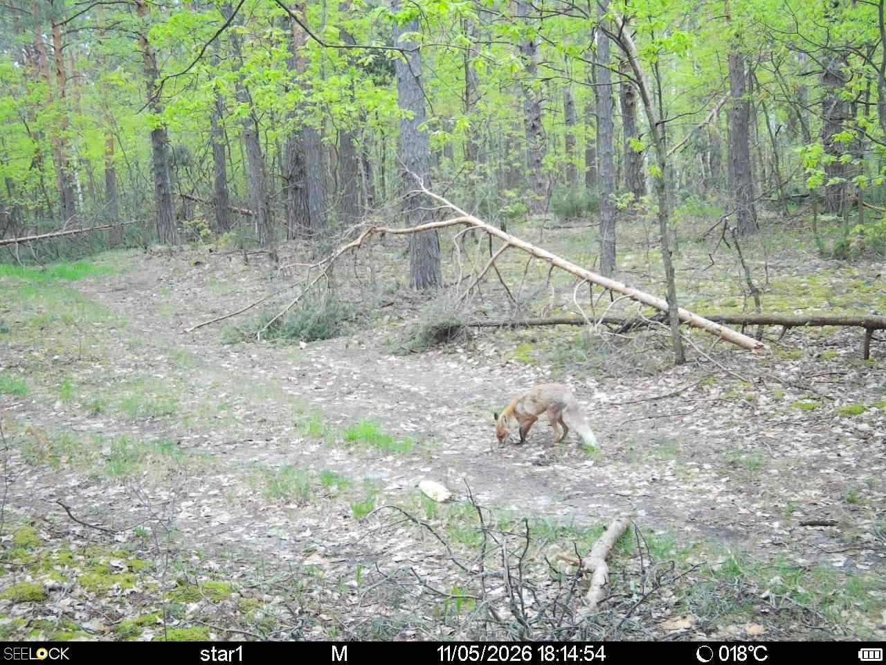 Preview Image 1