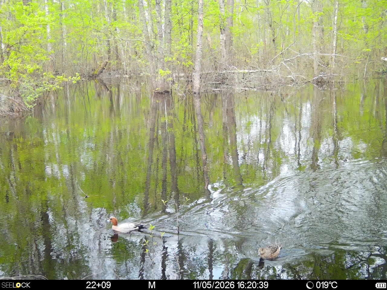 Preview Image 1