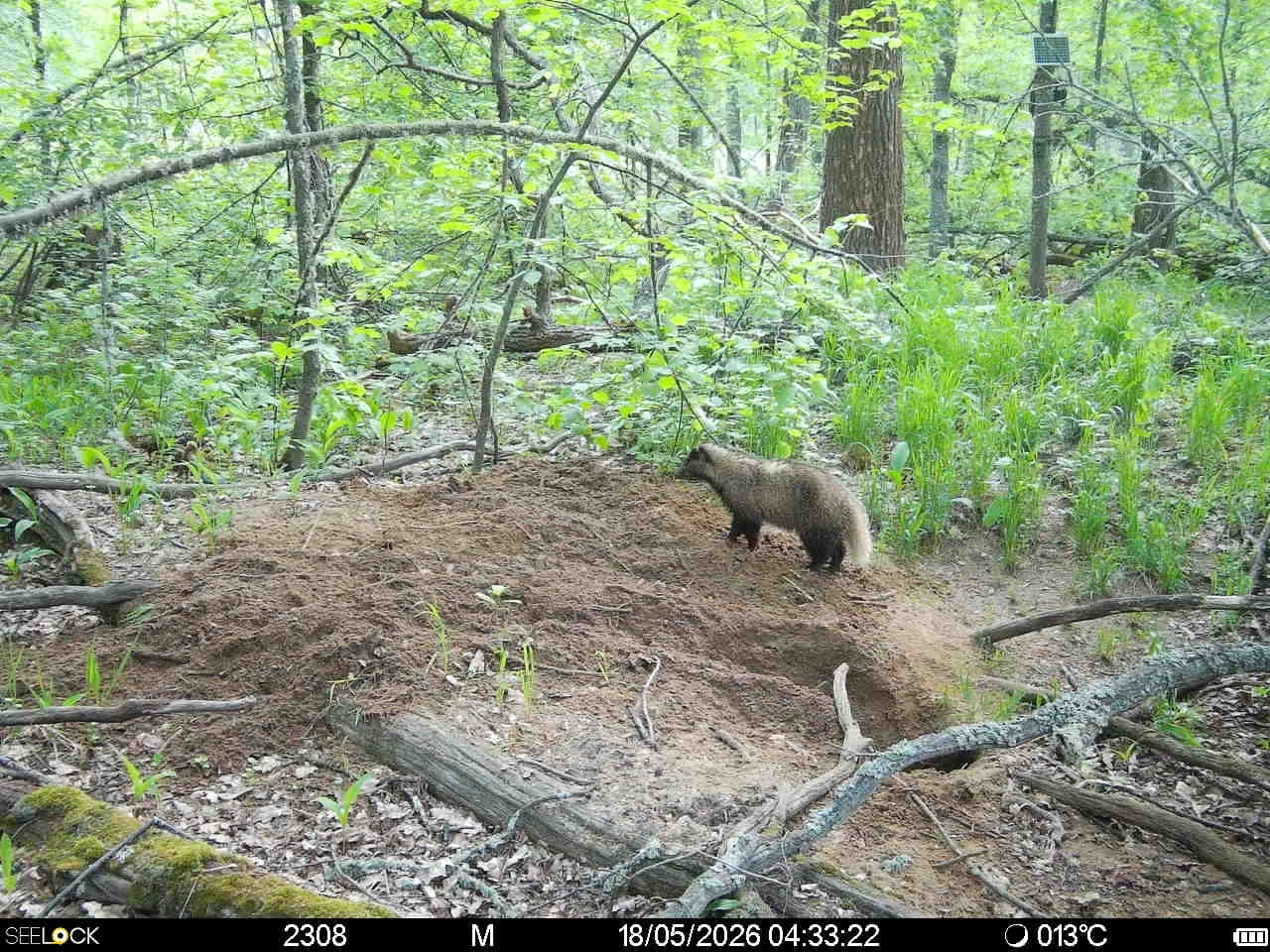 Preview Image 1