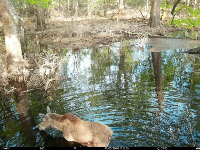 Preview Image 1