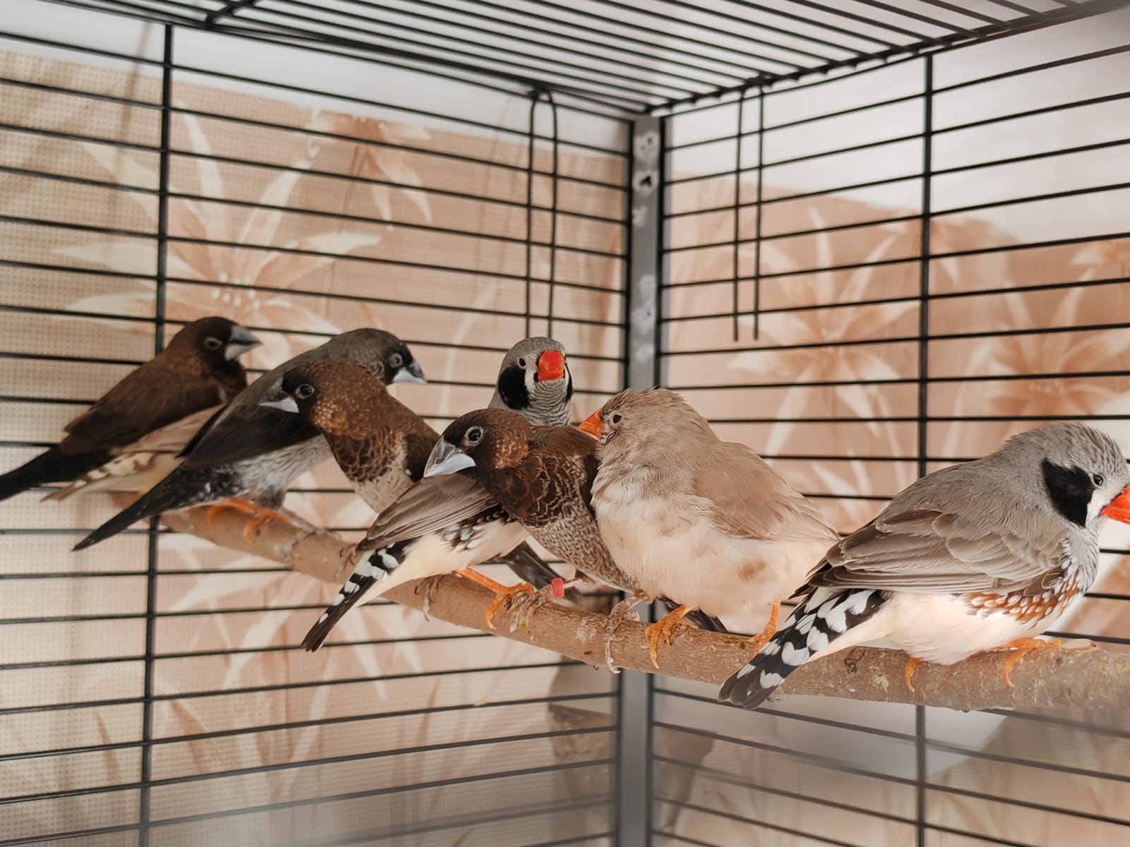 Preview Image 1