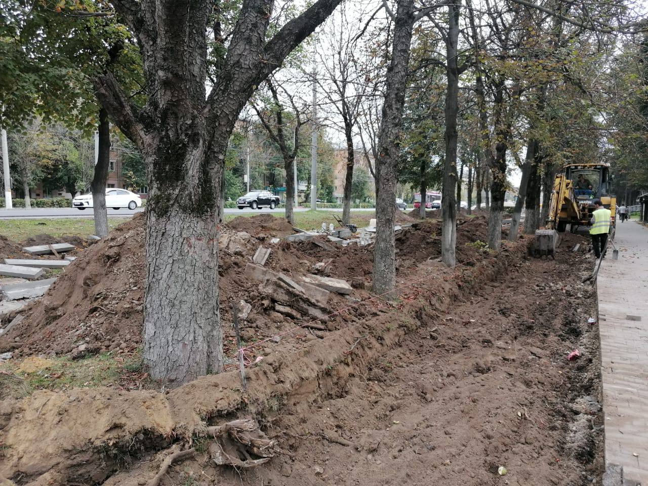 Preview Image 1