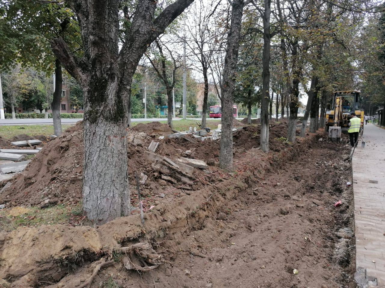 Preview Image 1