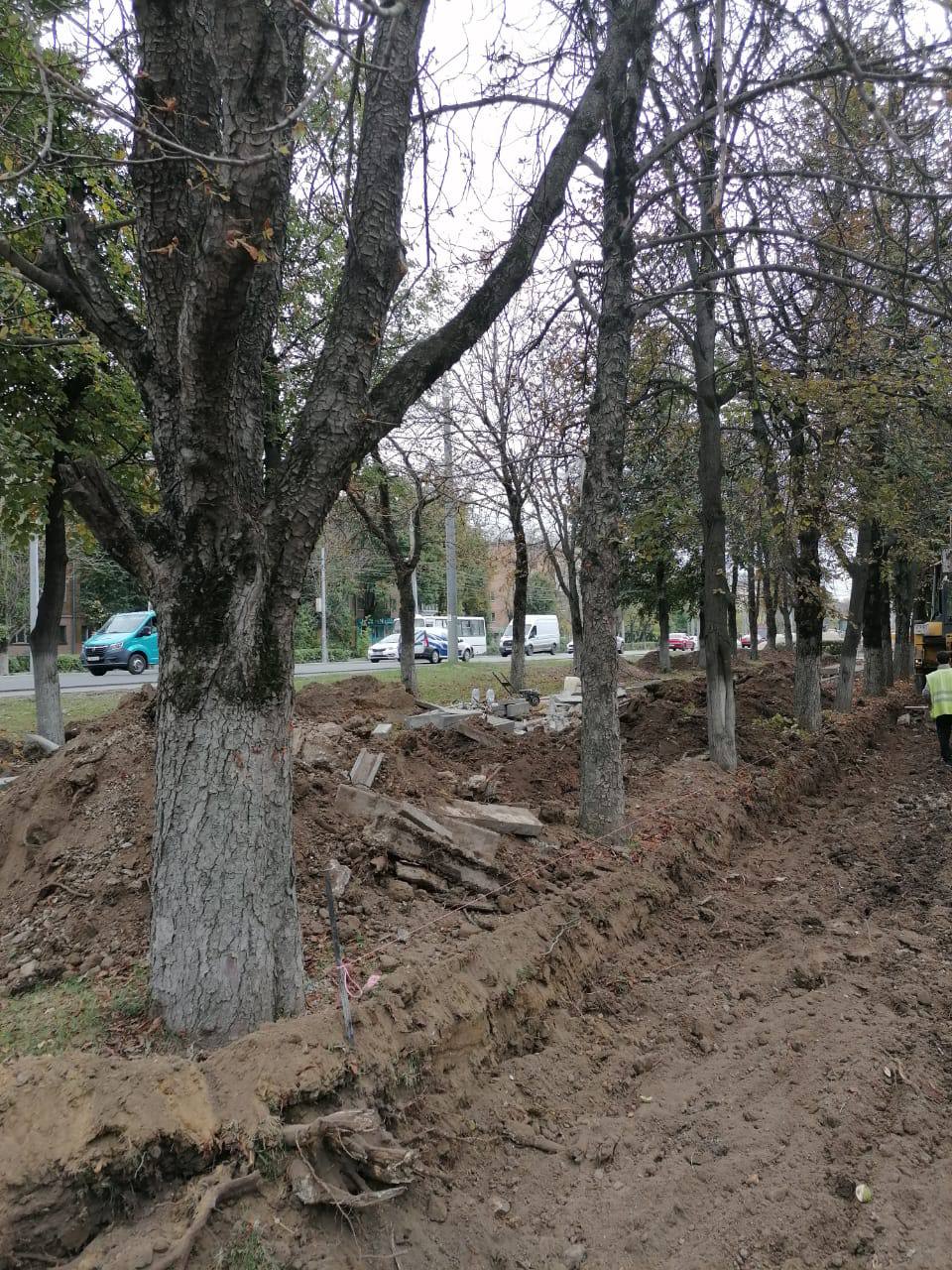 Preview Image 1