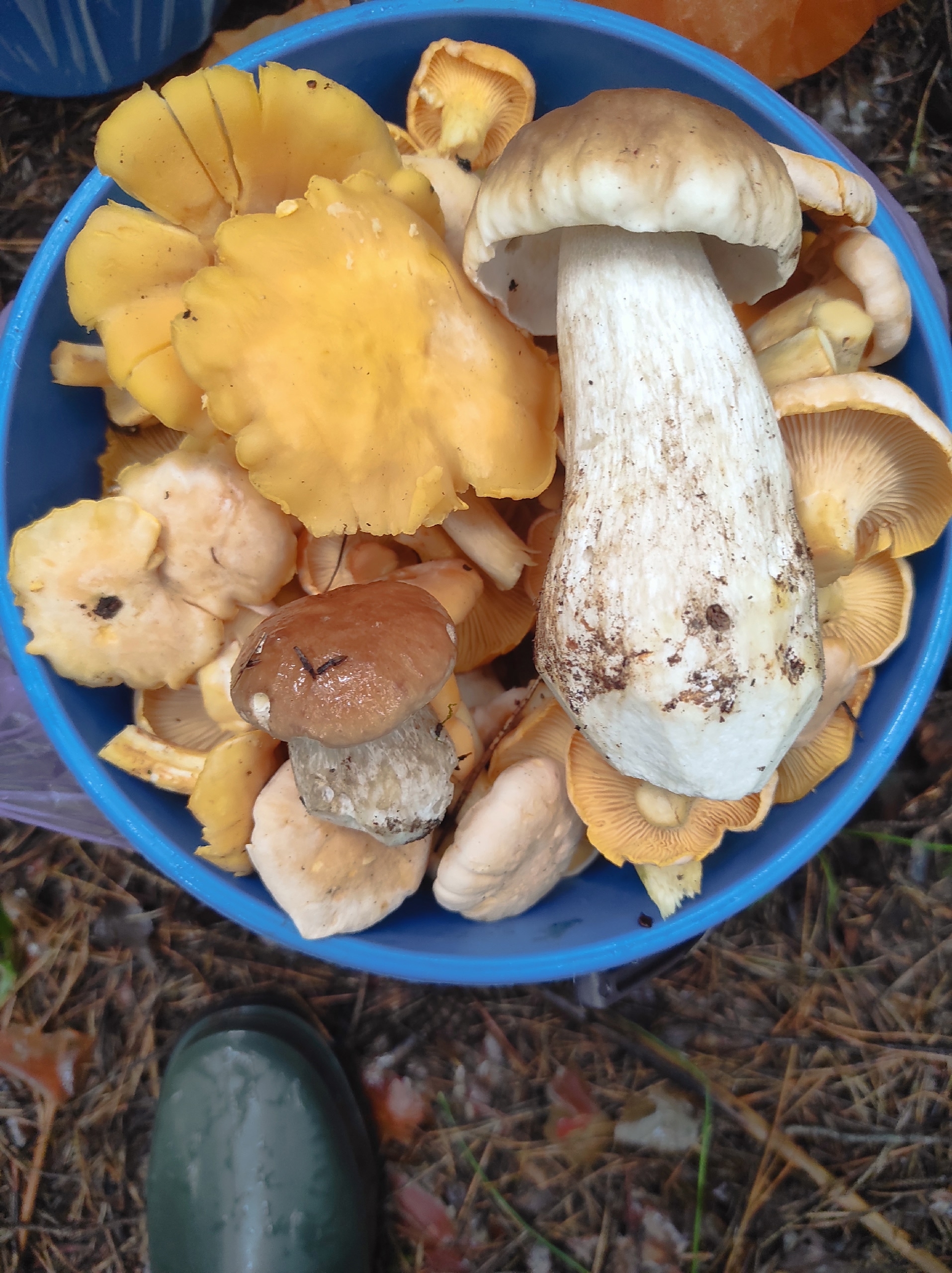 Preview Image 1