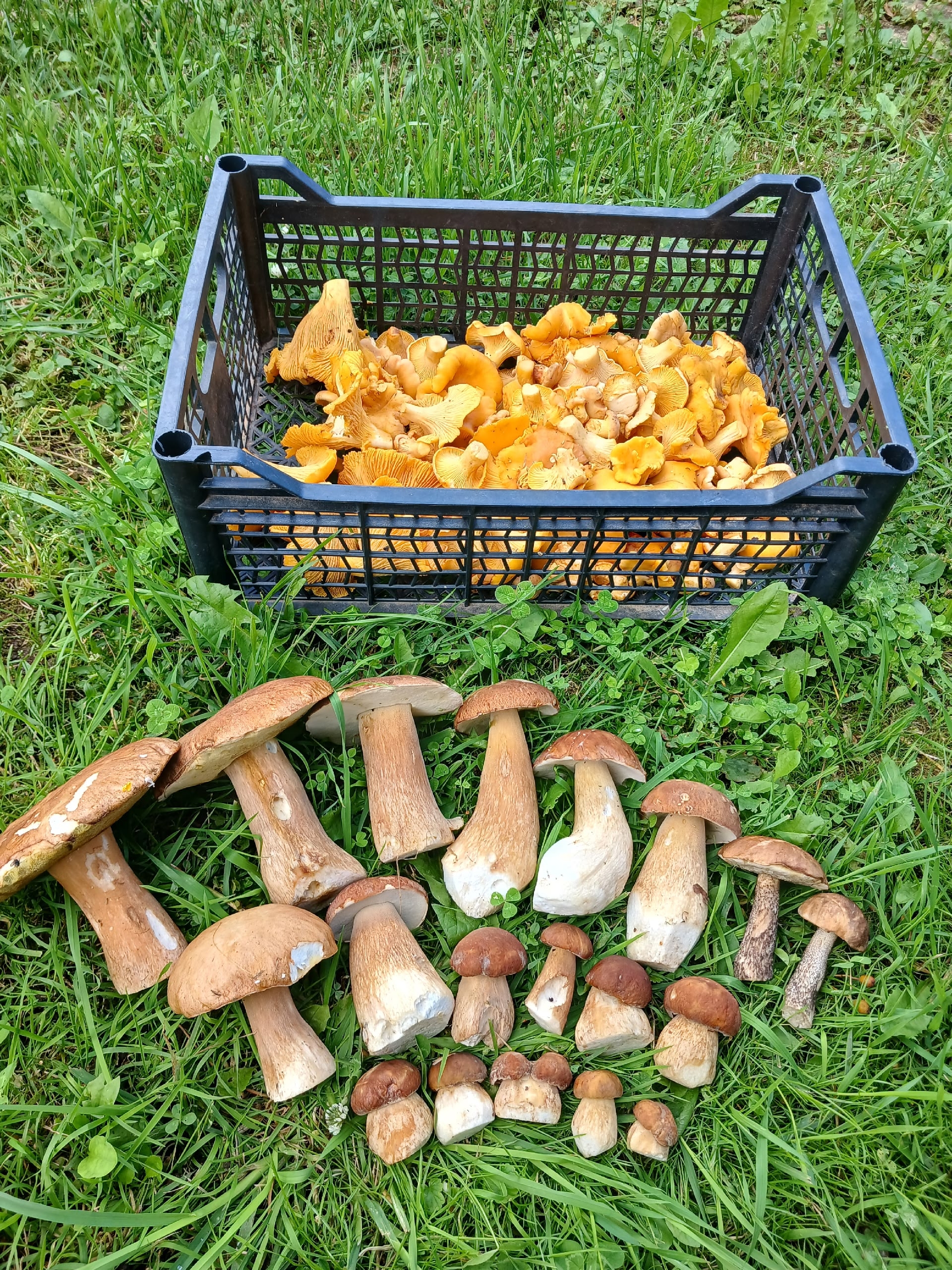 Preview Image 1