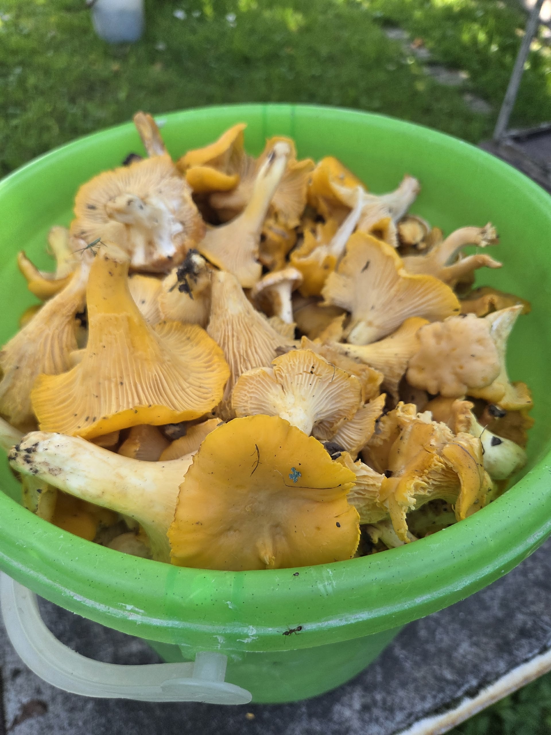 Preview Image 1