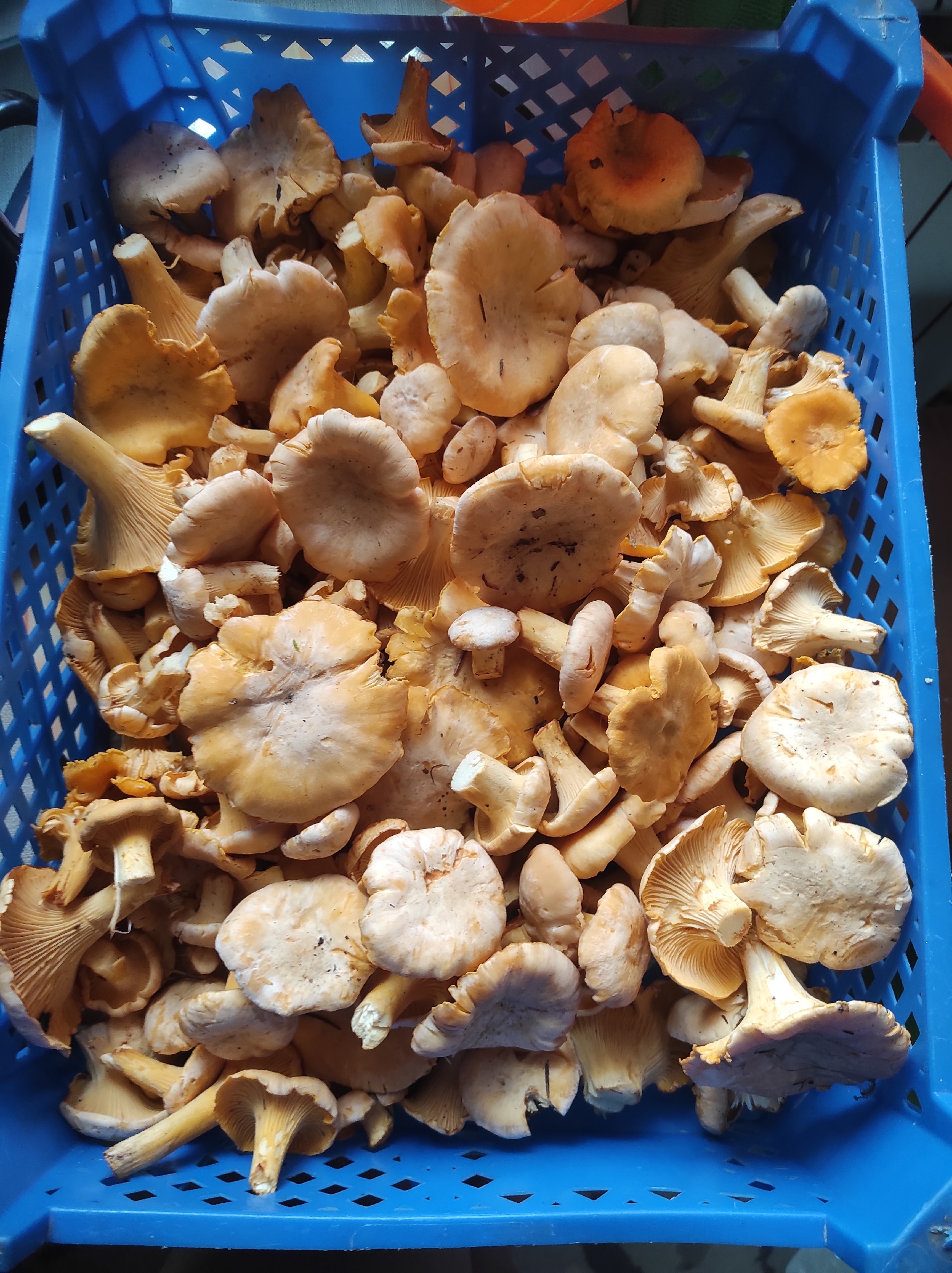 Preview Image 1