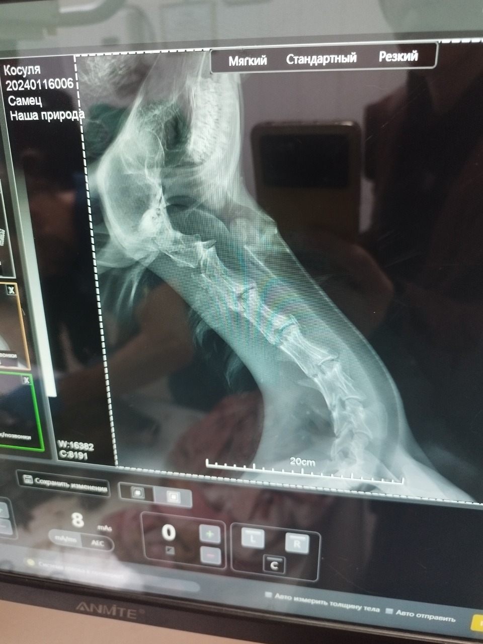 Preview Image 1