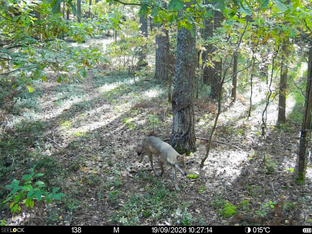 Preview Image 1