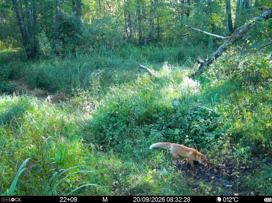 Preview Image 1