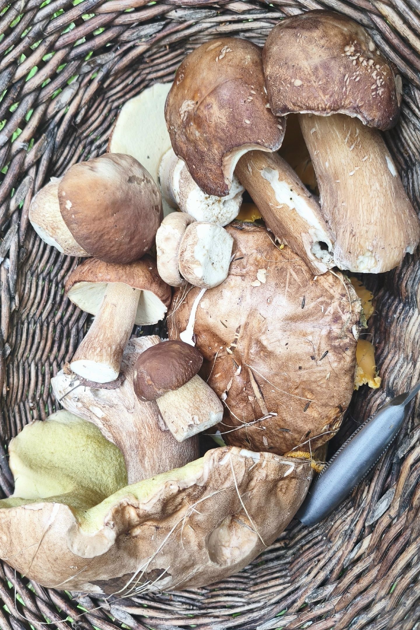 Preview Image 1