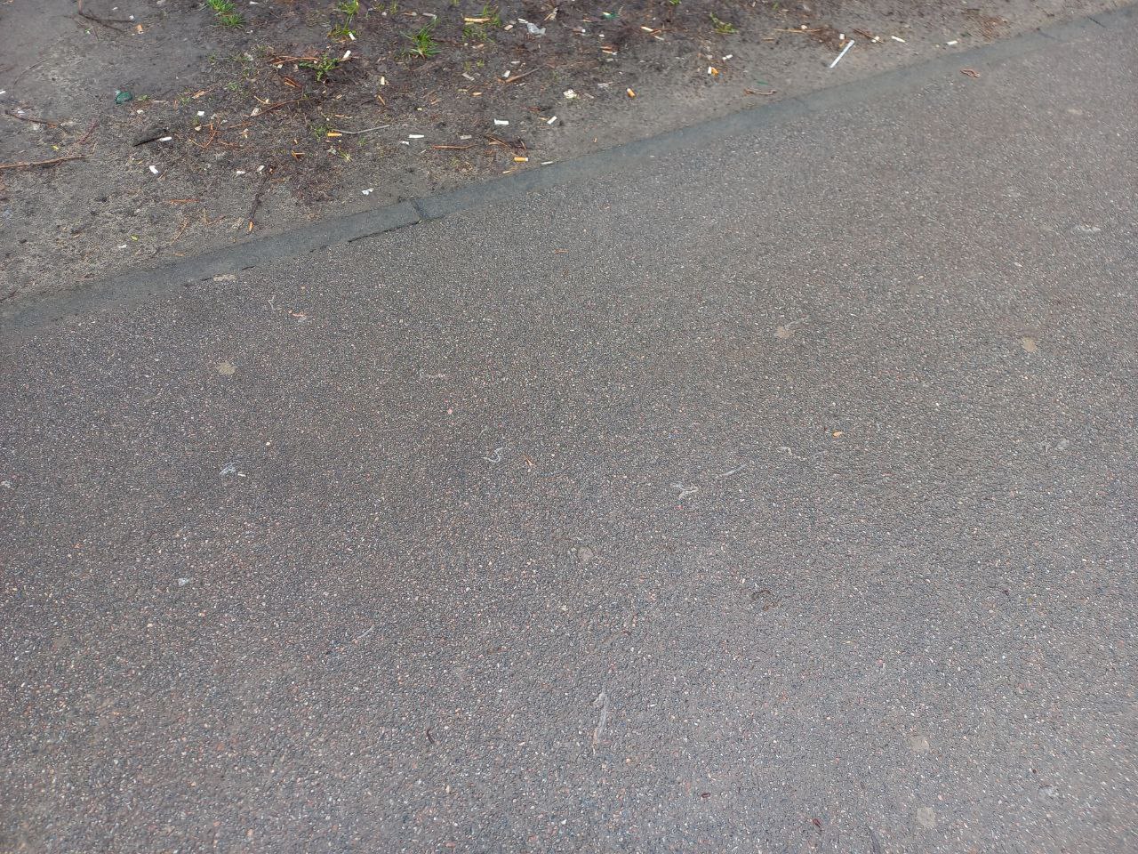 Preview Image 1