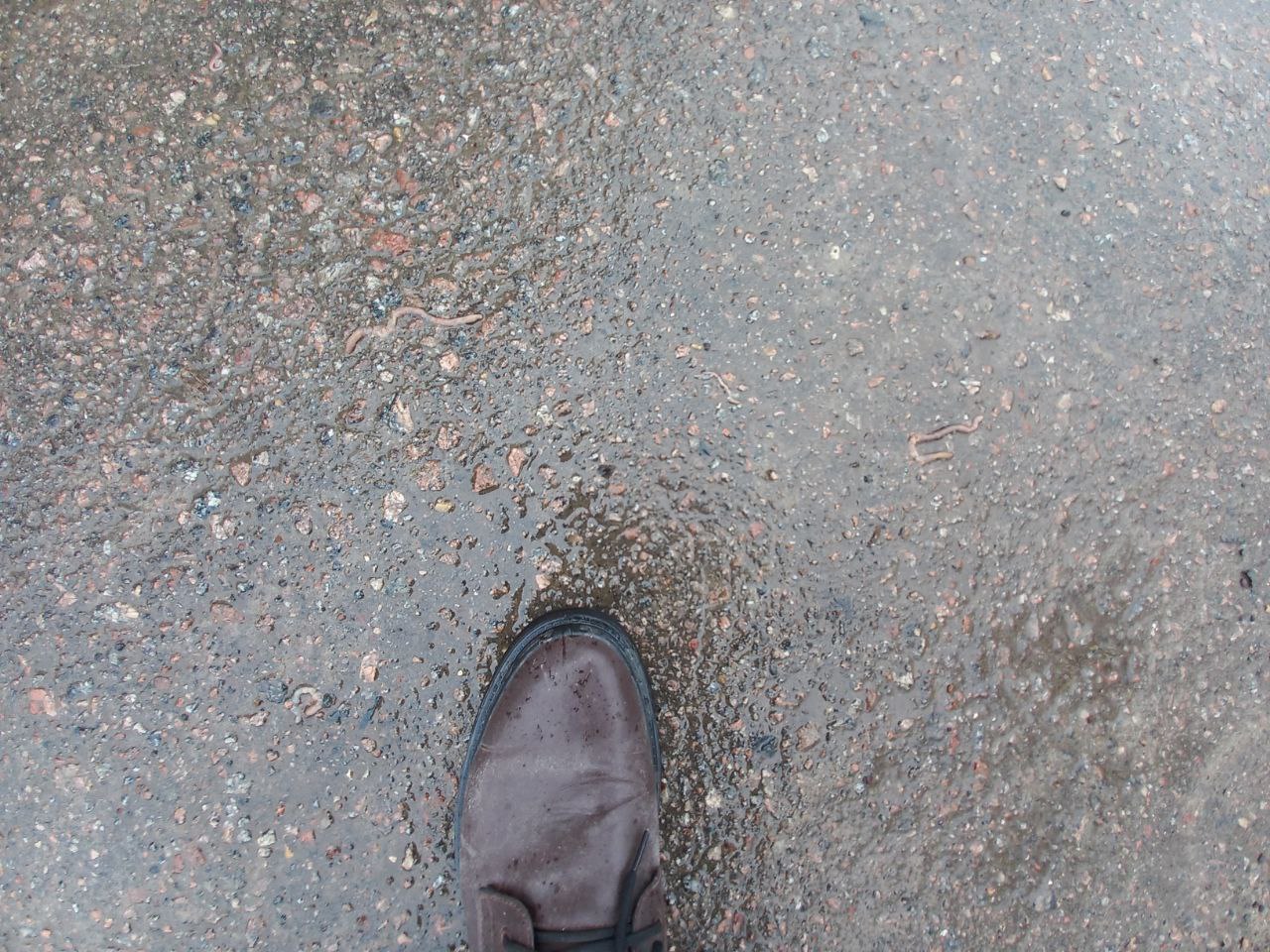 Preview Image 1