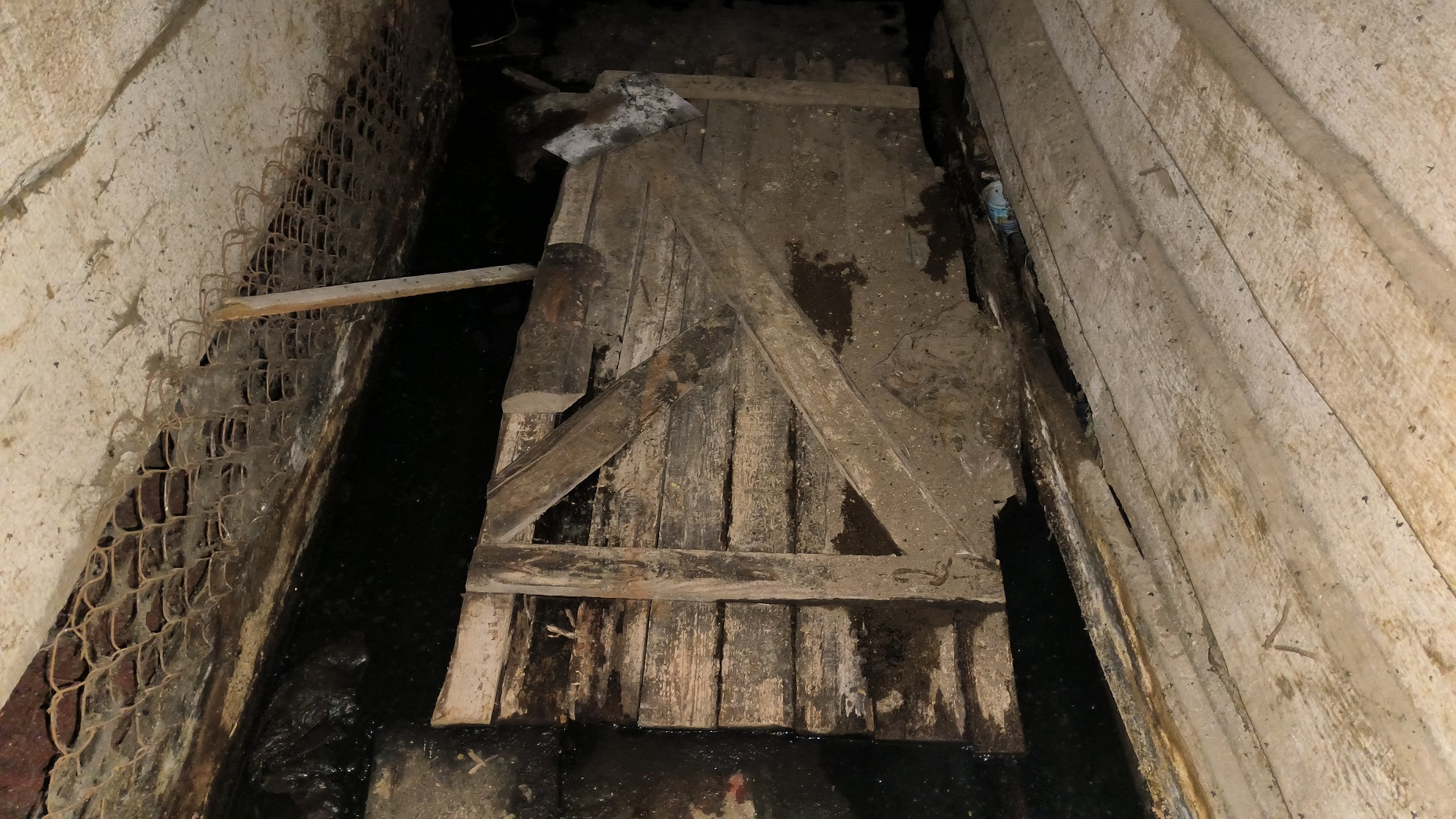 Preview Image 1