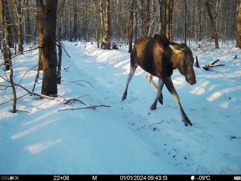 Preview Image 1