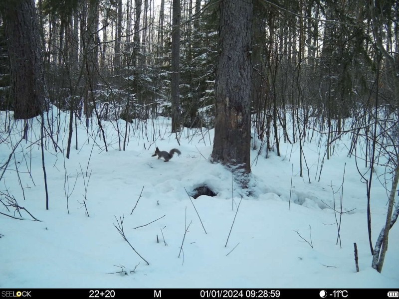 Preview Image 1