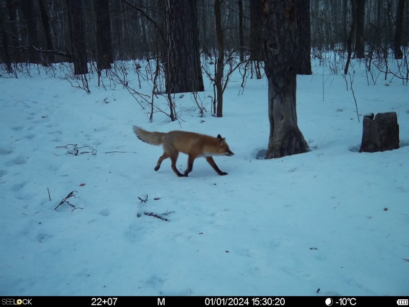 Preview Image 1