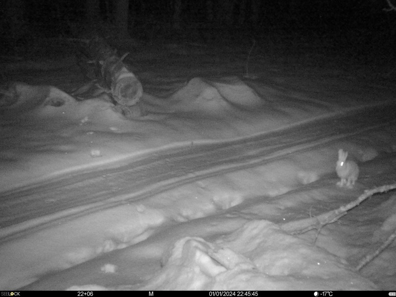 Preview Image 1