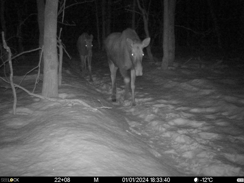 Preview Image 1