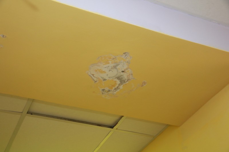 Preview Image 1