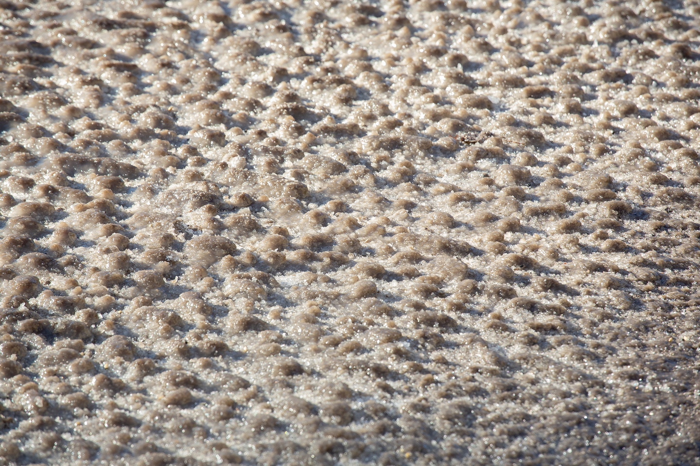 Preview Image 1