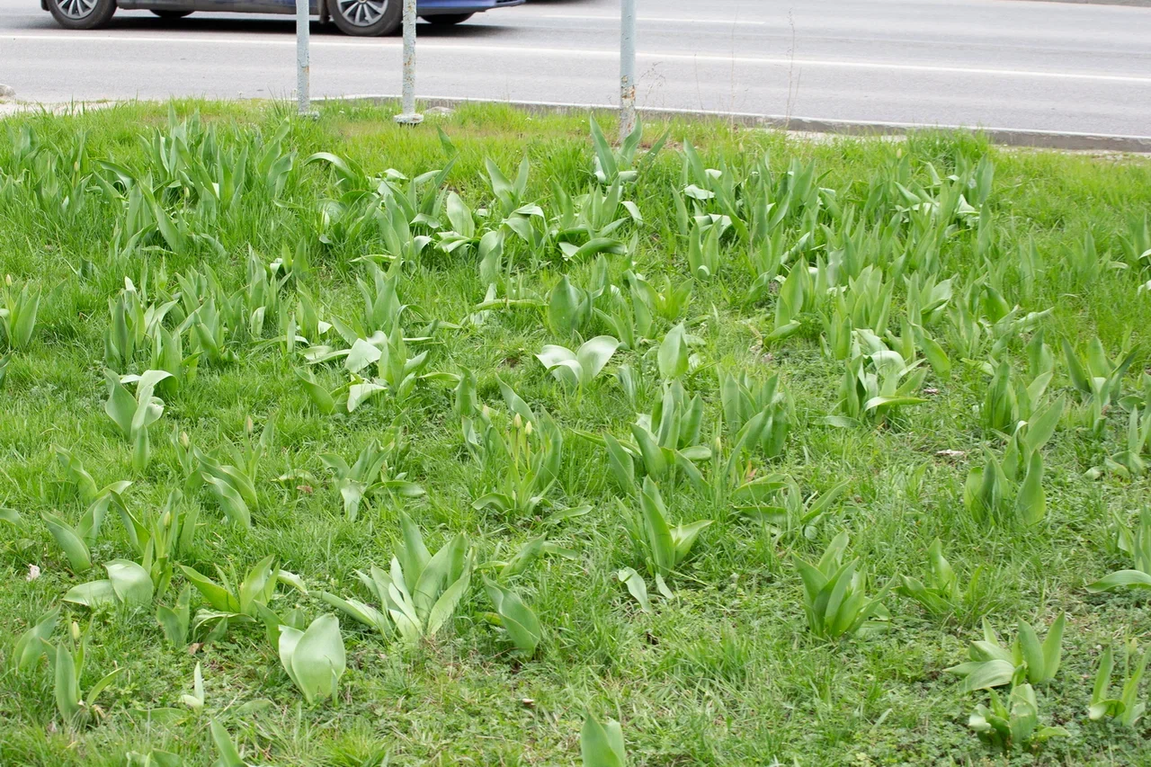 Preview Image 1