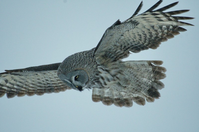 Preview Image 1
