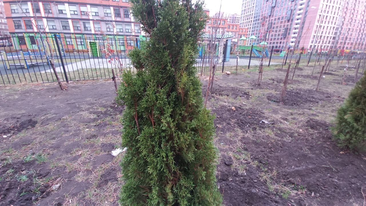 Preview Image 1