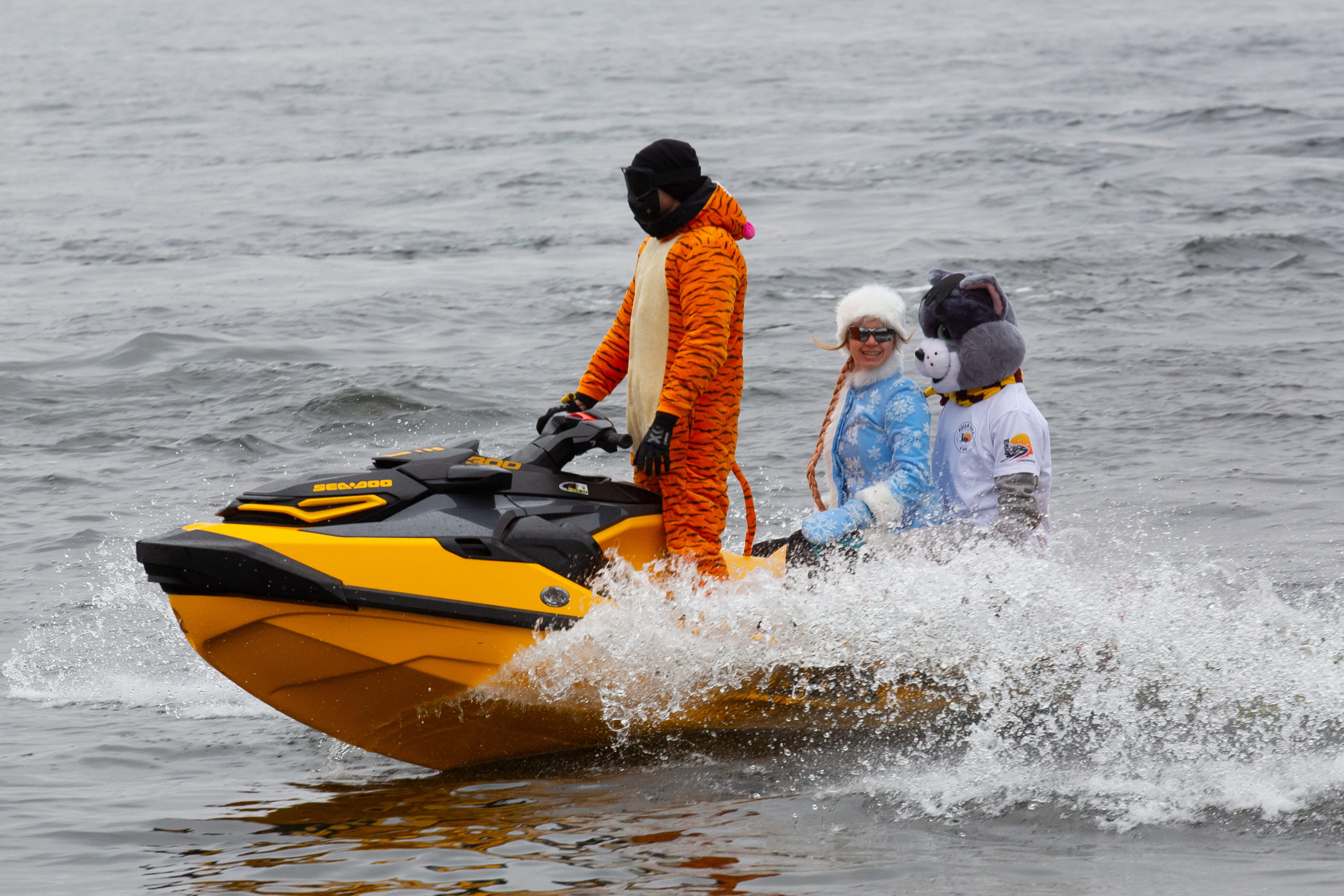 Preview Image 1