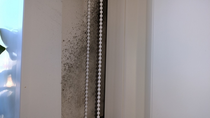 Preview Image 1